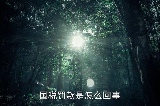 稅務(wù)局行為罰款是什么意思，國(guó)稅罰款是怎么回事