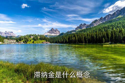 稅務(wù)局的滯納金是什么意思，稅收滯納金還有什么什么滯納金是什么意思