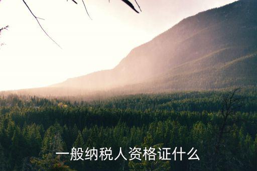 一般納稅人資格是什么，一般納稅人的認(rèn)定資格是什么