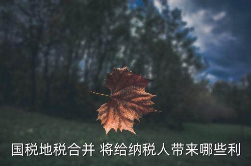 國地稅合作給地方帶來什么，國地稅合并后將帶來哪些變化對于財務(wù)工作人員有哪些便利  搜