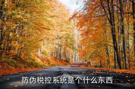 防偽稅控一體化什么時候，營改增后漢字防偽企業(yè)抄報稅時需要使用什么設(shè)備
