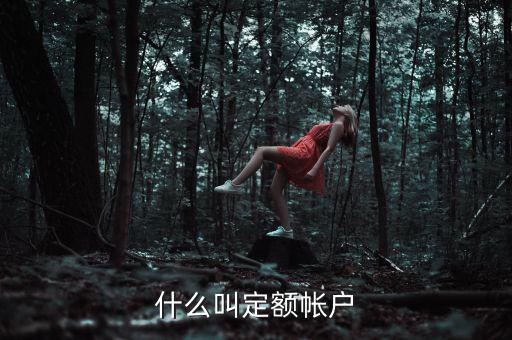 國(guó)稅的定期定額戶是什么意思，國(guó)稅買票需要定稅或建賬是什么意思