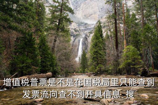 增值稅普票是不是在國(guó)稅局里只能查到發(fā)票流向查不到開具信息  搜
