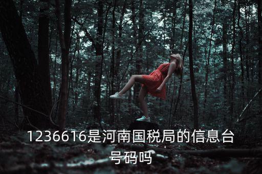 河南省國家稅務局賬號是什么，登錄國稅網(wǎng)上辦稅服務廳的用戶名和密碼是什么