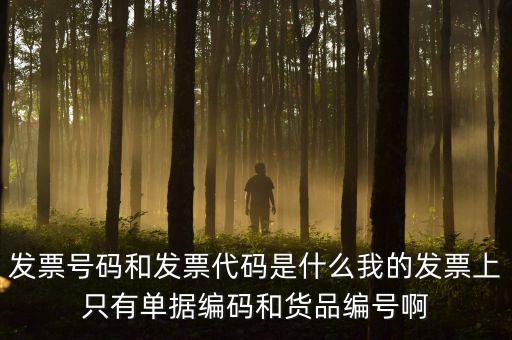 專用發(fā)票號(hào)碼是什么意思，發(fā)票號(hào)碼是什么意思