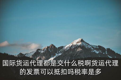 貨代公司交什么稅，國際貨運(yùn)代理都是交什么稅啊貨運(yùn)代理的發(fā)票可以抵扣嗎稅率是多
