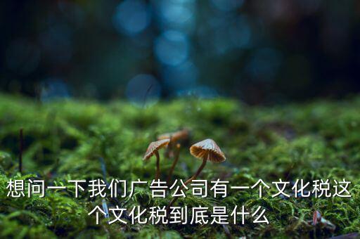 什么是稅務(wù)文化，和諧地稅文化的內(nèi)涵應(yīng)包括哪些方面