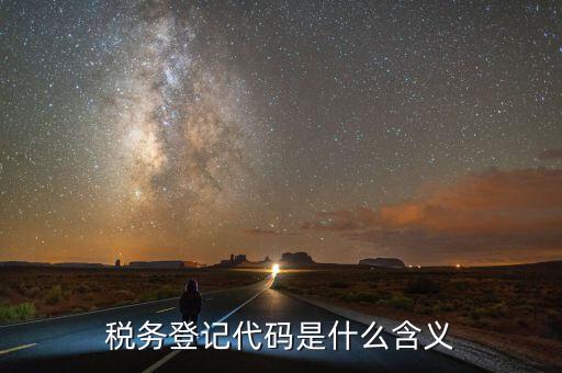 國稅發(fā)票認(rèn)證登錄代碼是什么，國稅局發(fā)票軟件里用戶代碼和密碼是什么