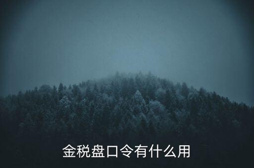 報稅數(shù)字證書口令是什么，陜西天暢偉業(yè)的網(wǎng)上報稅系統(tǒng)的登錄口令是什么