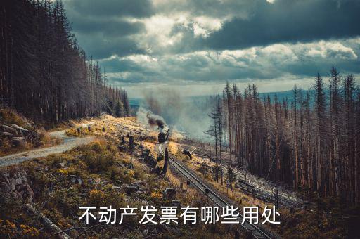 有不動產(chǎn)發(fā)票代表什么，不動產(chǎn)發(fā)票有哪些用處