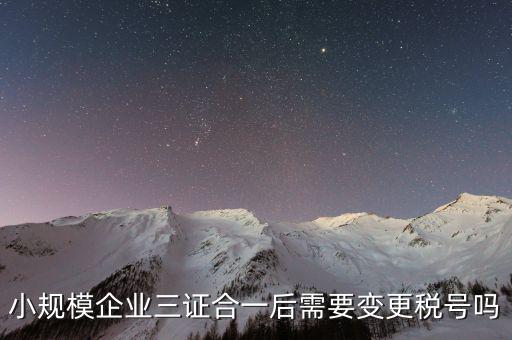 什么情況需要變更稅號，小規(guī)模企業(yè)三證合一后需要變更稅號嗎