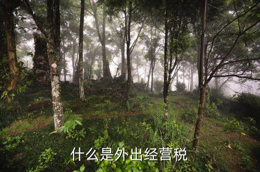 什么是外出經(jīng)營，什么情況屬于外出經(jīng)營