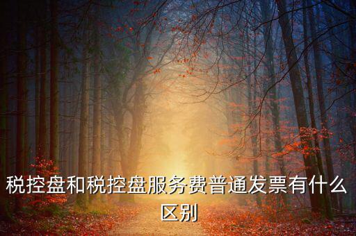 金稅盤(pán)和稅控盤(pán)有什么區(qū)別，金稅盤(pán)和稅控盤(pán)開(kāi)出的發(fā)票有什么區(qū)別
