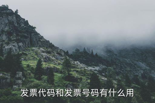 發(fā)票地區(qū)編號(hào)填什么用，發(fā)票代碼和發(fā)票號(hào)碼有什么用