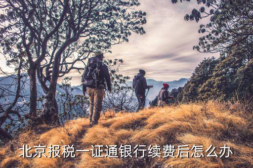 稅務(wù)一證通是什么，金稅盤和一證通有區(qū)別嗎