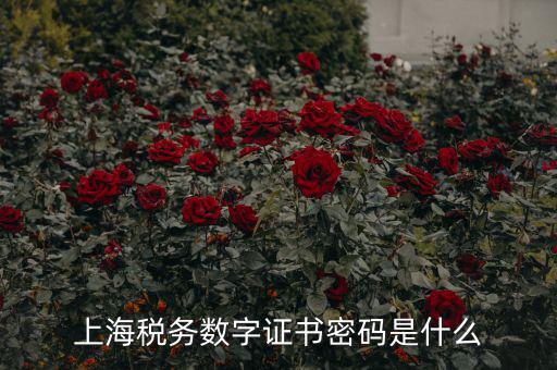 稅務(wù)數(shù)字證書密碼是什么，稅務(wù)密鑰是什么東西是數(shù)字證書嗎
