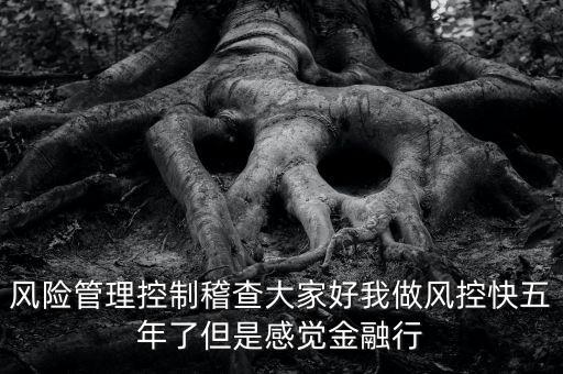 稽查風(fēng)險(xiǎn)管控是什么意思，股票中1風(fēng)險(xiǎn)提示 違規(guī)稽查是什么意思