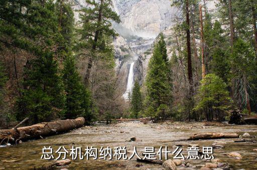 非總分機構什么意思，總分機構納稅人是什么意思