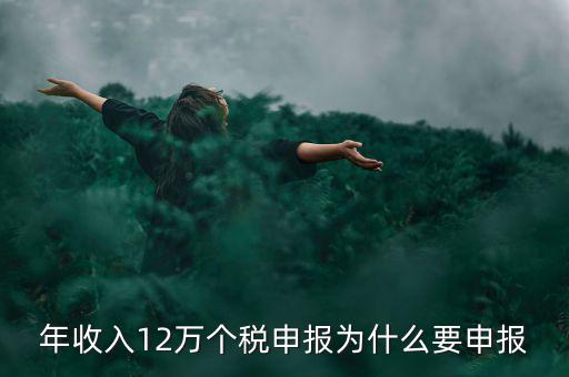為什么12萬(wàn)個(gè)稅申報(bào)表，12萬(wàn)以上個(gè)人所得稅申報(bào)是什么意思