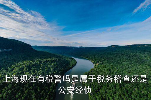 稅警機制辦公室干什么，上?，F(xiàn)在有稅警嗎是屬于稅務稽查還是公安經(jīng)偵