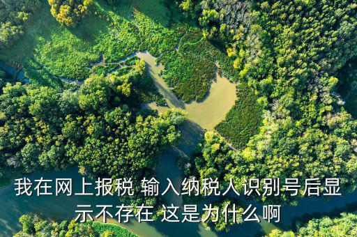 個(gè)稅主賬戶(hù)不存在什么意思，為什么個(gè)稅網(wǎng)絡(luò)在線報(bào)稅登錄時(shí)用戶(hù)號(hào)不存在