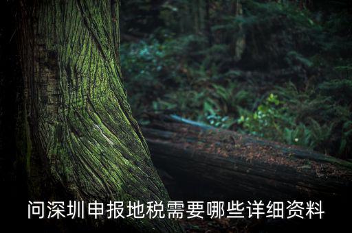 深圳市的地稅申報(bào)是什么，深圳市地稅怎么申報(bào)