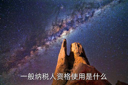 納稅資格包括什么，一般納稅人的認(rèn)定資格是什么