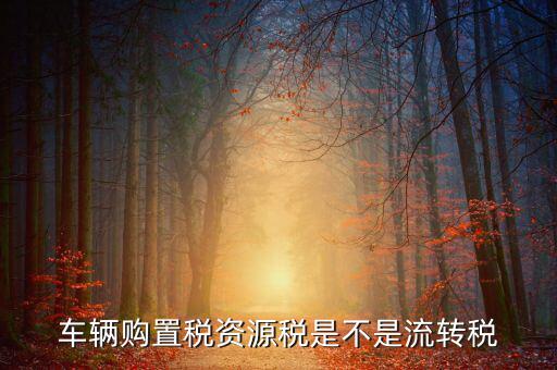 資源稅改革是什么，資源稅是地稅還是國稅