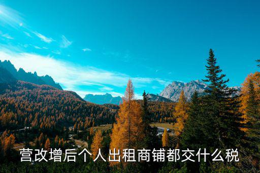 個(gè)人出租商鋪交什么稅，個(gè)人出租商鋪需要繳納什么稅