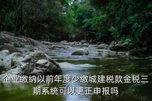 金稅三期更正申報需要什么資料，企業(yè)繳納以前年度少繳城建稅款金稅三期系統(tǒng)可以更正申報嗎