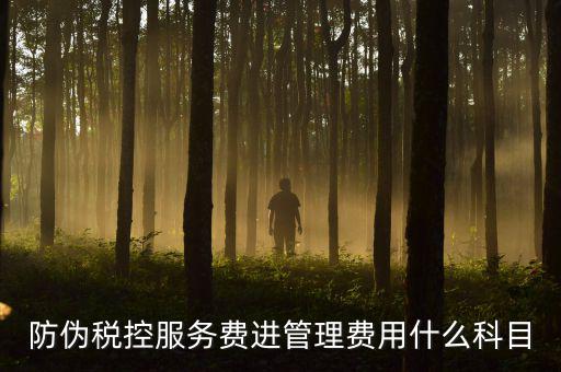 防偽稅控服務(wù)費(fèi)是什么意思，繳納電子鑰匙的年費(fèi)是防偽稅控服務(wù)費(fèi)嗎