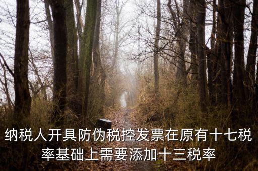 金稅卡加稅率有什么，金稅盤稅額問(wèn)題