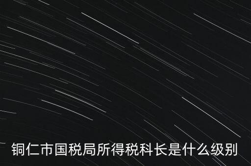 地稅局股長是什么級別，地稅里的職位 股長是什么級別
