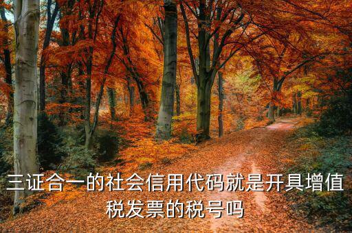 發(fā)票上社會信用代碼是什么意思，現(xiàn)在開發(fā)票要的社會信用代碼是誰的代碼