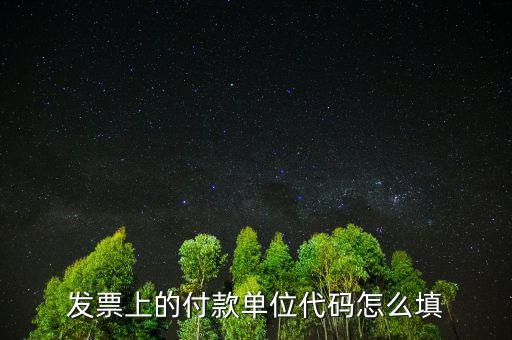 發(fā)票單位名稱是什么，增值稅普通發(fā)票的單位名稱