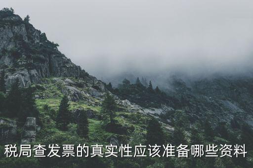 稅務(wù)局主要查發(fā)票什么資料，稅局查發(fā)票的真實(shí)性應(yīng)該準(zhǔn)備哪些資料