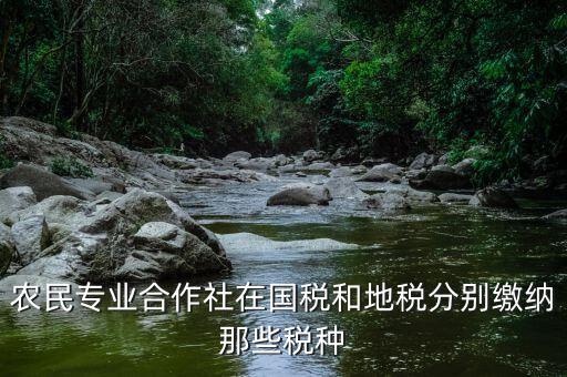 稅務(wù)局向合作社收取什么稅，農(nóng)民專業(yè)合作社在國稅和地稅分別繳納那些稅種
