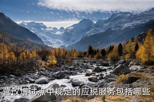 應(yīng)稅服務(wù)中止指什么，小規(guī)模申報(bào)表中應(yīng)稅服務(wù)什么意思