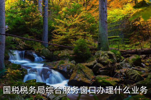 國稅大廳辦理什么業(yè)務(wù)，辦稅大廳都做些什么事