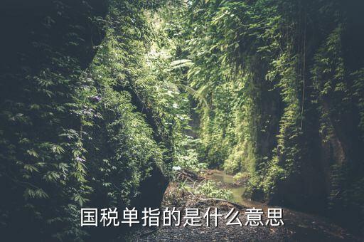 國稅稅納單是什么，國稅單指的是什么意思