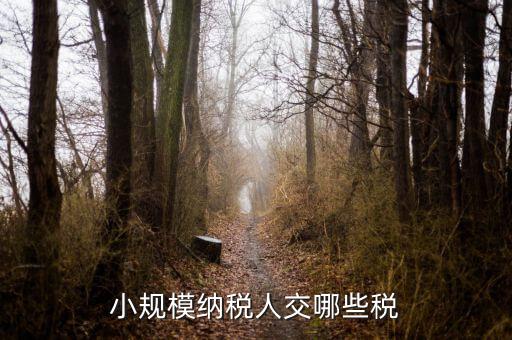 小規(guī)模都交什么稅，小規(guī)模納稅人要交什么稅