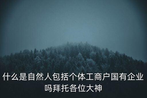 什么是稅務(wù)中的自然人，會(huì)計(jì)中自然人所指的是那種人