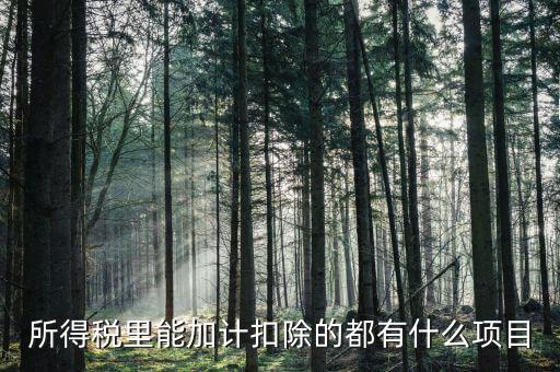 什么企業(yè)加計(jì)扣除，人員工資加計(jì)扣除政策是什么意思