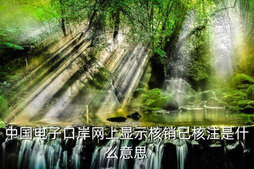 為什么核銷報驗，中國電子口岸網(wǎng)上顯示核銷已核注是什么意思