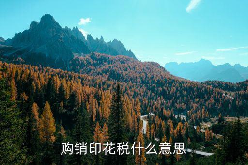 什么是購銷印花稅，購銷印花稅什么意思