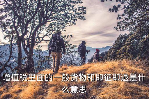 什么叫即征即退政策，增值稅里面的一般貨物和即征即退是什么意思