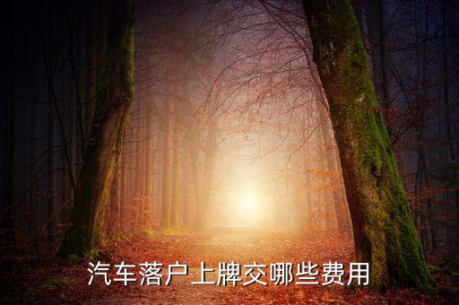 新車上牌要交什么稅，汽車落戶上牌交哪些費(fèi)用