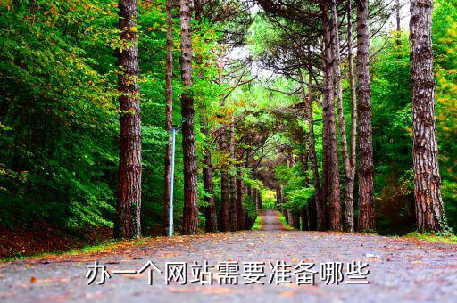 地方網站要辦理什么手續(xù)，建一個網站需要什么手續(xù)