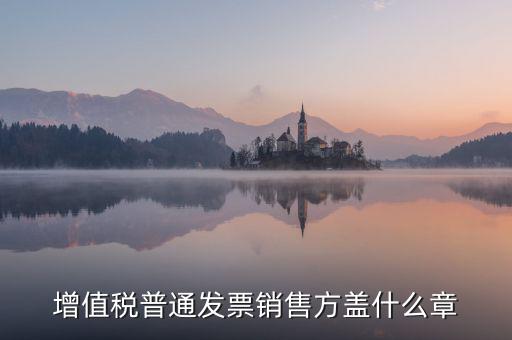 發(fā)票稅務(wù)章什么樣的，增值稅普通發(fā)票銷售方蓋什么章