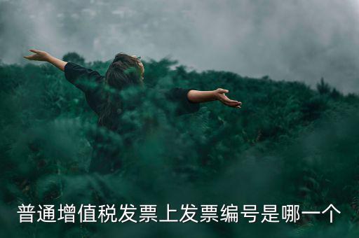 增值稅編號(hào)是什么，普通增值稅發(fā)票上發(fā)票編號(hào)是哪一個(gè)